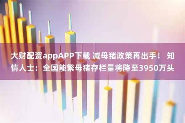 大财配资appAPP下载 减母猪政策再出手！ 知情人士：全国能繁母猪存栏量将降至3950万头