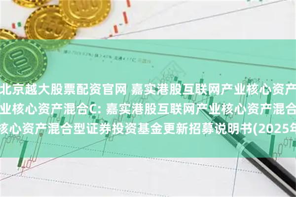 北京越大股票配资官网 嘉实港股互联网产业核心资产混合A,嘉实港股互联网产业核心资产混合C: 嘉实港股互联网产业核心资产混合型证券投资基金更新招募说明书(2025年07月22日更新)
