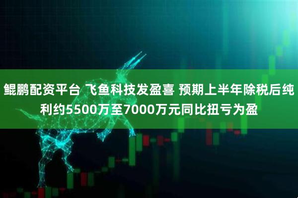 鲲鹏配资平台 飞鱼科技发盈喜 预期上半年除税后纯利约5500万至7000万元同比扭亏为盈