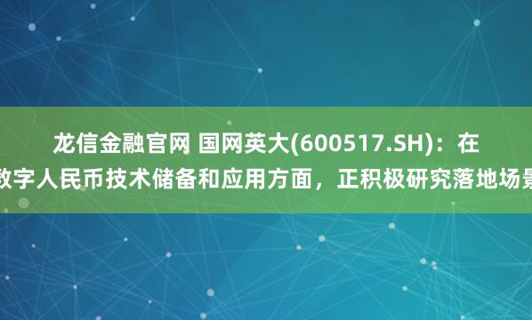 龙信金融官网 国网英大(600517.SH)：在数字人民币技术储备和应用方面，正积极研究落地场景